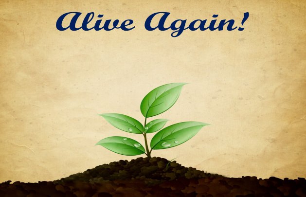 13th March – Alive Again